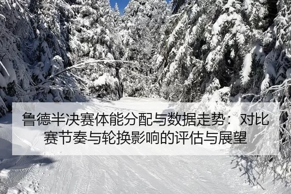 鲁德半决赛体能分配与数据走势：对比赛节奏与轮换影响的评估与展望